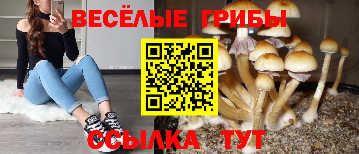 Псилоцибиновые грибы прущие грибы Вязьма